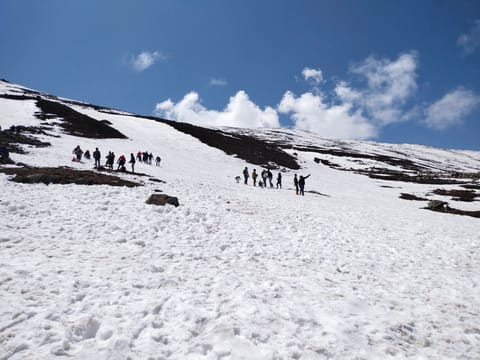 Magical Himalaya