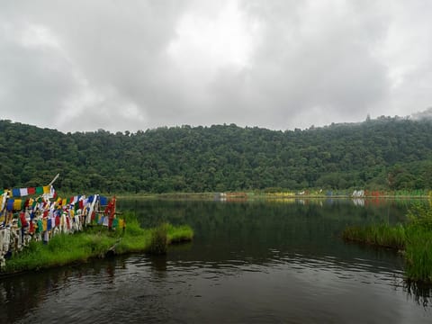 Colours of East