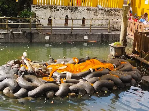 Kathmandu Delight