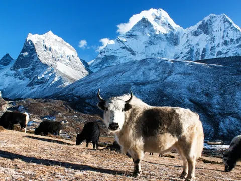 Everest Base Camp Trek
