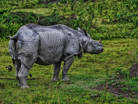 Nepal Himalayan Tour With Lumbini