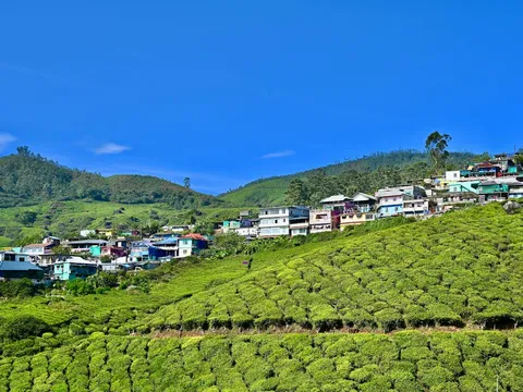 Honeymoon Tour to Kerala