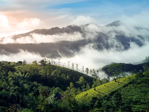 Exotic Kerala