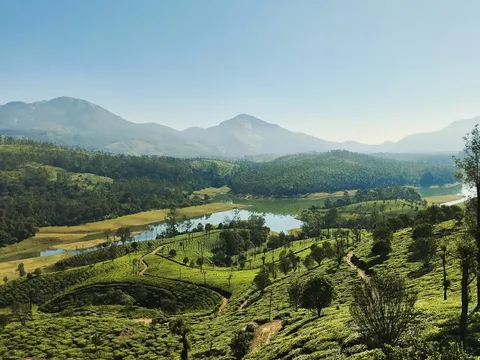 Exotic Kerala