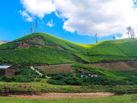 Charming Kerala Tour