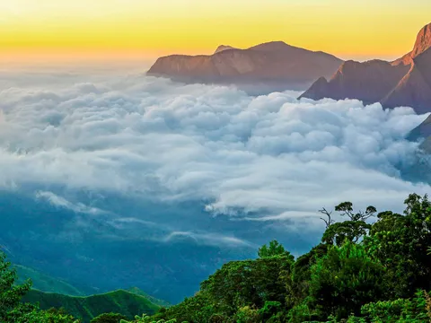 Charming Kerala Tour