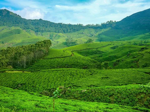 Kerala Retreat