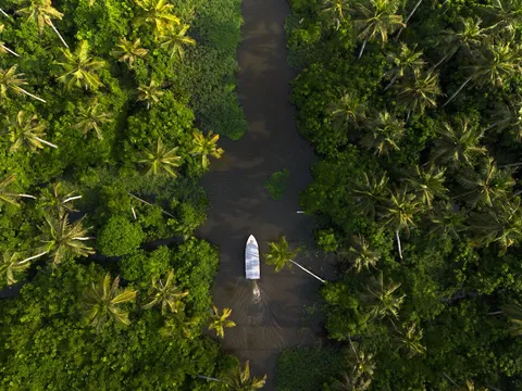 Hill and Back water