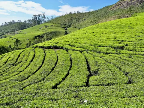 Glimpse of Ooty