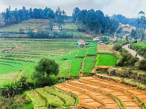 Short Trip to Kodai