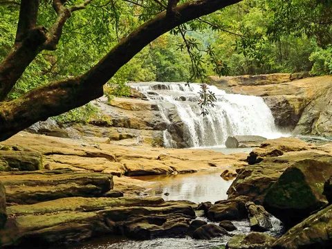 Discover Ooty from Bangalore