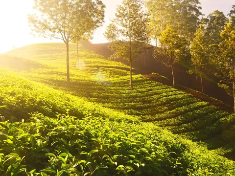 Discover Ooty from Bangalore