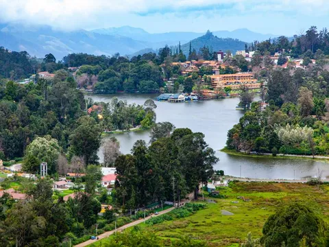 Majestic Hills of South