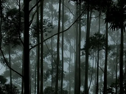 Majestic Hills of South