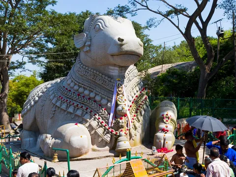 Mesmerizing Mysore and Coorg