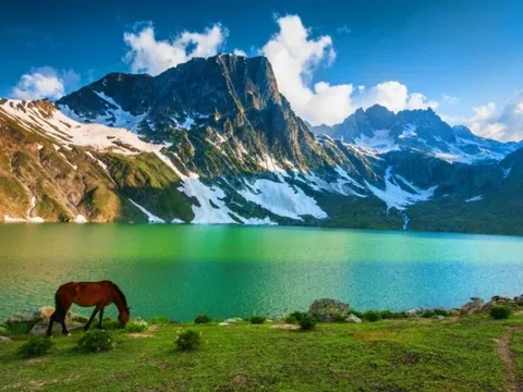 Meadows of Kashmir - 3N/4D days holiday package