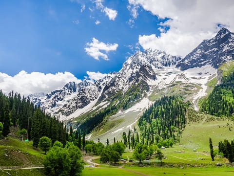 Meadows of Kashmir