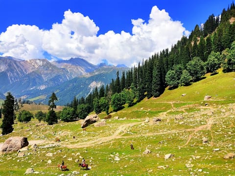 Mesmerising Kashmir Valleys - 3N/4D days holiday package
