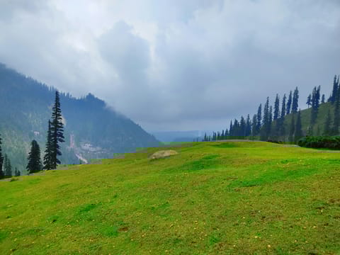 Memories of Kashmir - 3N/4D days holiday package