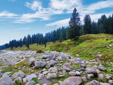 Memories of Kashmir
