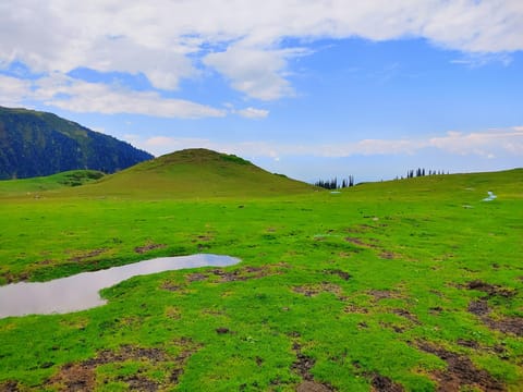 Lush Green Valleys of Kashmir - 3N/4D days holiday package