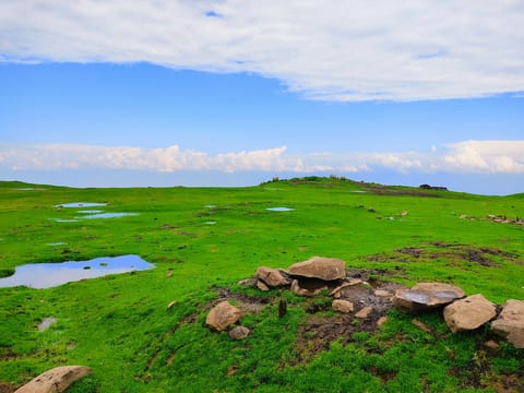 Lush Green Valleys of Kashmir