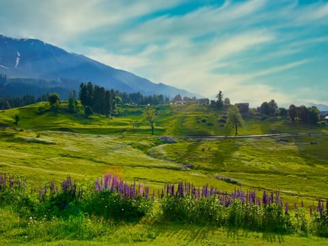 Kashmir Calling - Getaway to Heaven