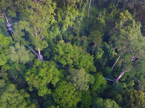 Danum Valley Beauty Experience