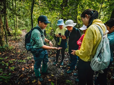 Danum Valley Rainforest Jungle Serenity