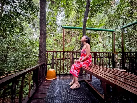 Danum Valley Borneo Rainforest Lodge Wellness Retreat