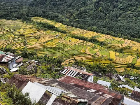 Kaziranga and Tawang Tour Package