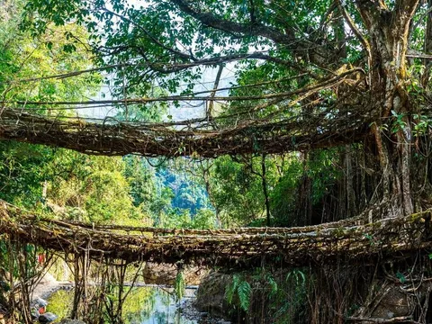 Kaziranga and Shillong Getaway