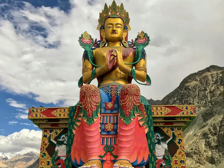 Valley of Flowers - Nubra Valley