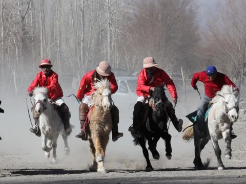 Exclusive Ladakh