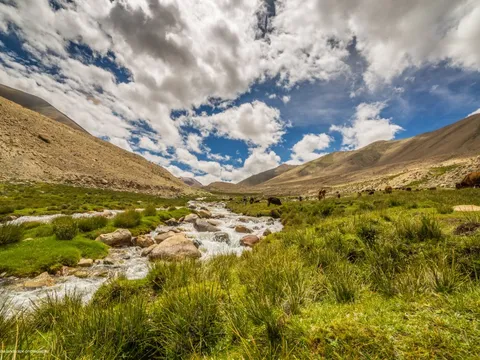Ladakh Exploration with Shared Tours