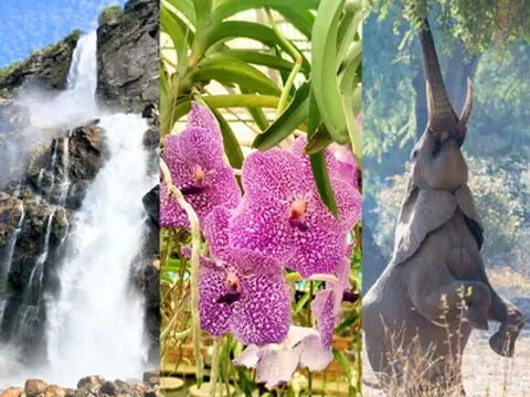 Explore the Best of Northeast India