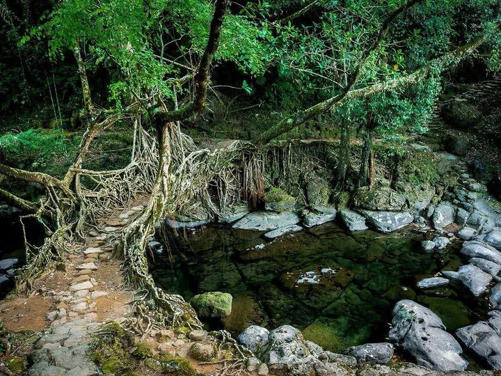 Meghalaya Nature Escape: Shillong and Beyond