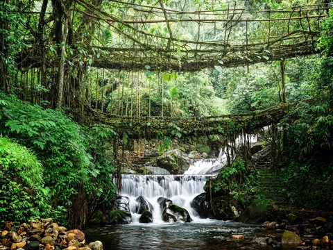 Meghalaya Nature Escape: Shillong and Beyond