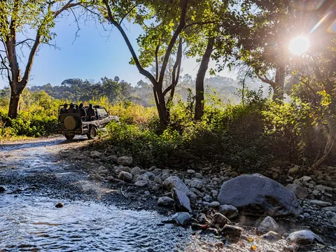 Assam Jungle Trails and Safaris