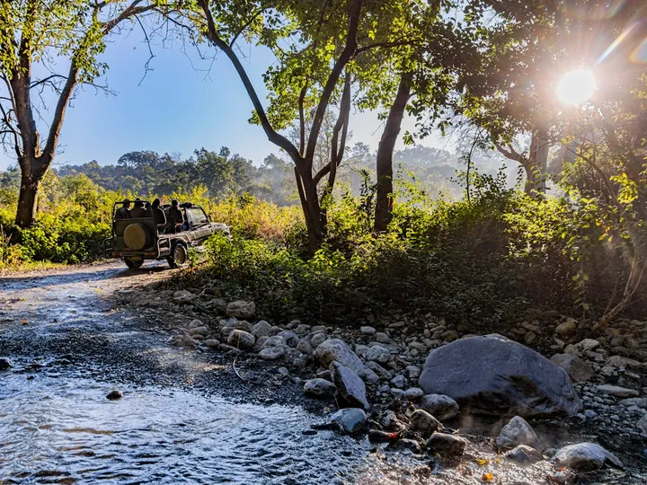 Assam Jungle Trails and Safaris
