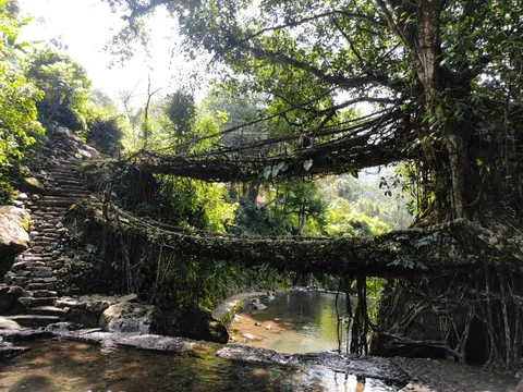 Wonders of Assam and Meghalaya