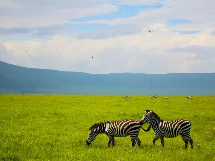 Classic Kenya Safari
