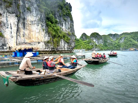 Amazing Vietnam Tour