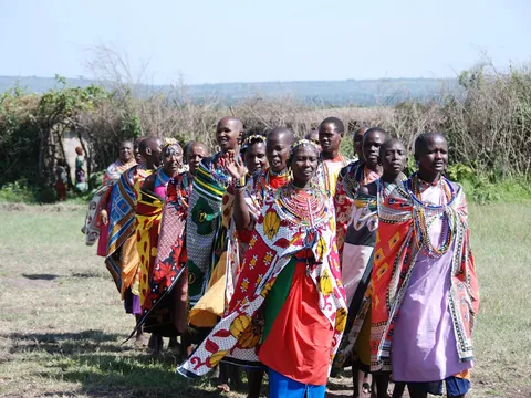 Highlights of Kenya Safari