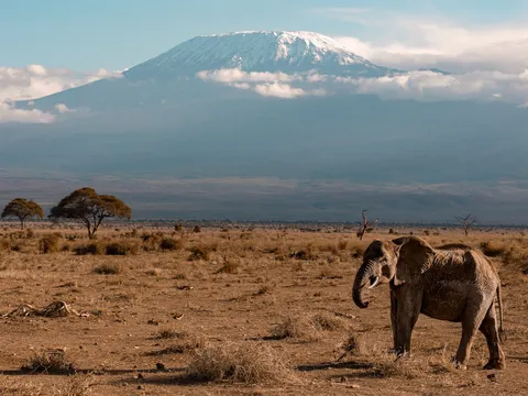Highlights of Kenya Safari