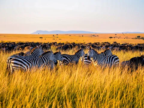Ultimate Kenya Safari