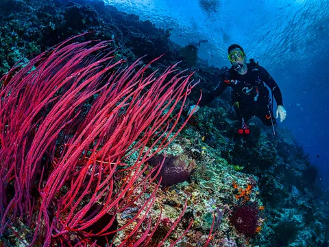 The Bali Adventure Quest - 7N/8D days holiday package