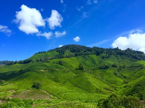 Mystical Malaysia Escape - 4N/5D days holiday package