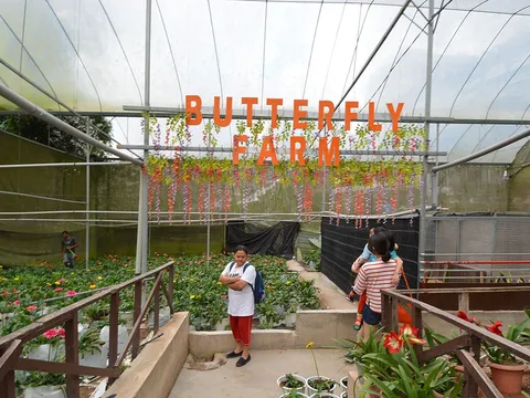 Majestic Malaysia Highlands Escape