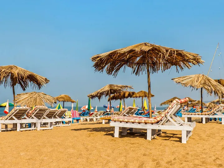 Goa Delights